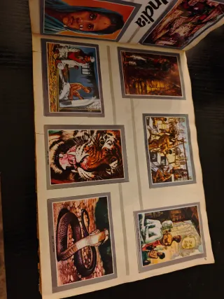 Álbum Vida y Color 2 (faltan 3 cromos)