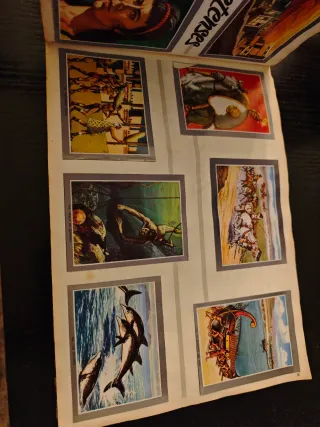 Álbum Vida y Color 2 (faltan 3 cromos)