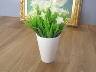 Camara digital Pentax Optio 50L 5 Mp Zoom digital