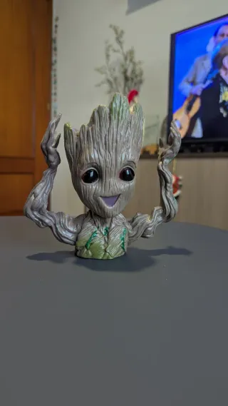 Maceta Groot