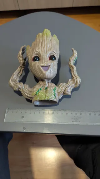 Maceta Groot