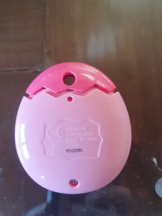 Tamagotchi con cámara