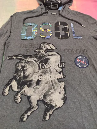 Sudadera Desigual con capucha gris