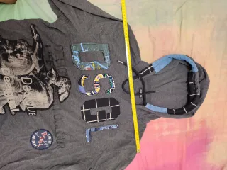 Sudadera Desigual con capucha gris