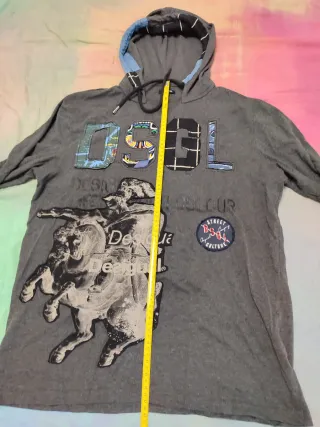Sudadera Desigual con capucha gris