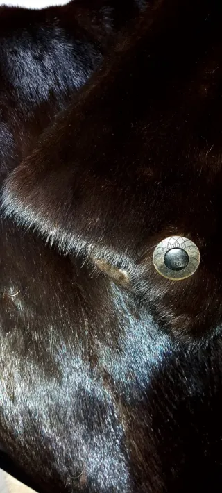 Abrigo de pelo negro, es súper suave, mira bien