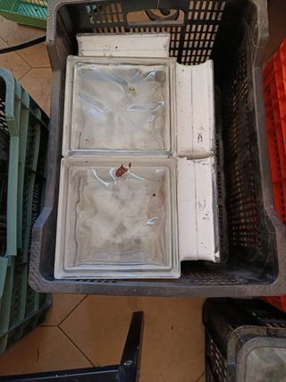 40 Pavés de Vidrio Transparentes