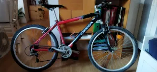 Bicicleta Orbea Adulto