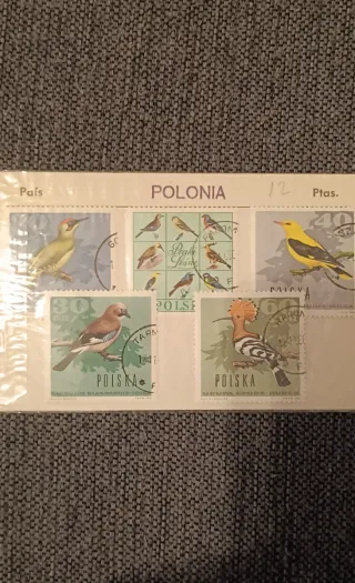 Lote 5 sellos Polonia Aves