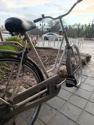 Bicicleta Paseo Holandesa Gazelle