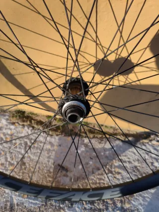 Llantas Race Face 29