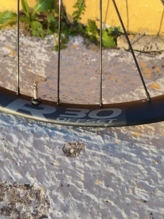 Llantas Race Face 29