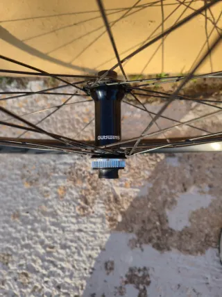 Llantas Race Face 29