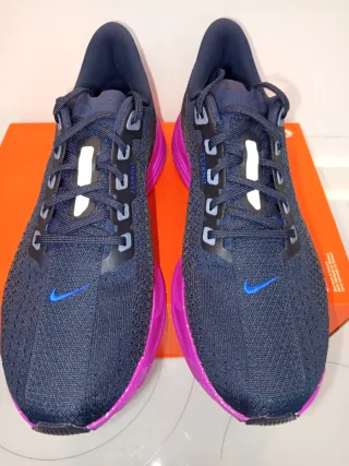 Nike Pegasus Plus SE T41 42'5 44 Azul/Morado