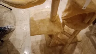 Rascador para gatos con hamaca y juguete