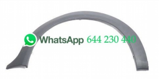 ALETÍN DELANTERO IZQUIERDO FORD TRANSIT CONNECT 2