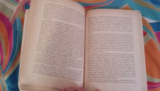 Breve historia de la lingüística