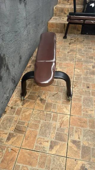 Lote Maquinaria Gimnasio: Cardio, Pesas, Bancos,