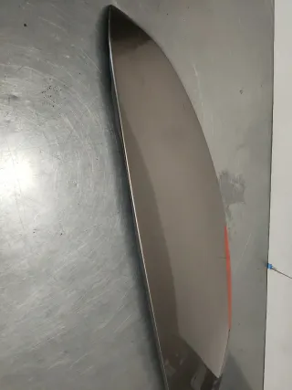 ALERON TRASERO PORTON RENAULT MEGANE II SW