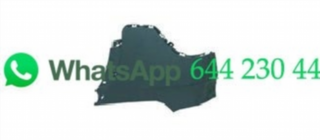 ESQUINA DE PARAGOLPES TRASERO DERECHO P/P BMW X5