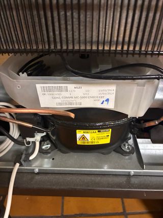 Cámara Maduración Carnes