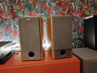 Diffusori Sony Marrone/Grigio