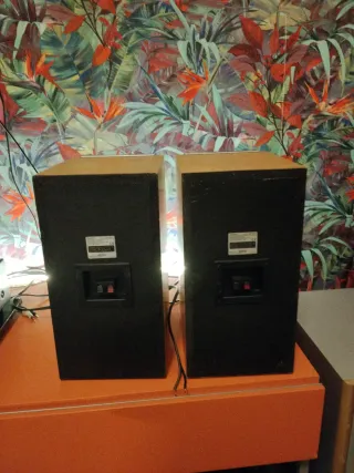 Diffusori Sony Marrone/Grigio