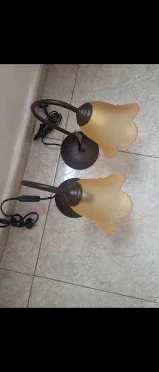 Juego 2 lámparas forja con tulipas,1 lámparas tech