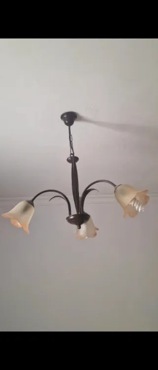 Juego 2 lámparas forja con tulipas,1 lámparas tech