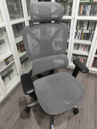 Silla ergonómica Flexispot