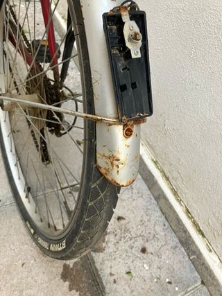 Bicicleta Paseo Roja