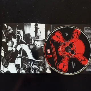 CD "The Dwarves Are Young and Good Looking"