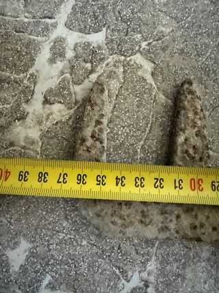 Rastrillo antiguo de hierro
