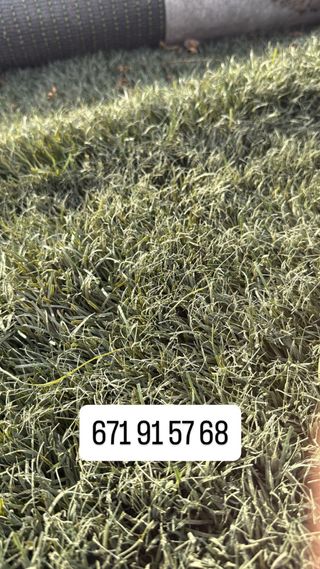 Césped artificial reciclado