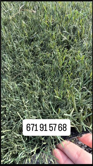 Césped artificial reciclado