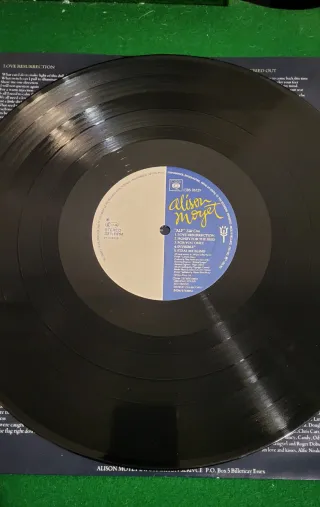 Vinilo Alison Moyet Alf LP