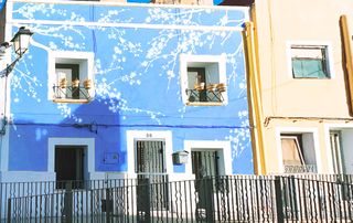 DECO GRAFFITI pintor mural Local y Vivienda