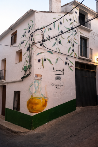 DECO GRAFFITI pintor mural Local y Vivienda