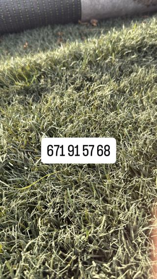 Césped artificial reciclado