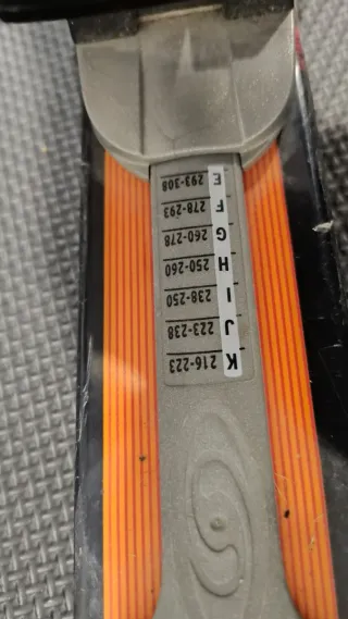 Esquís Fischer RX4 Niños 100cm