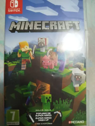 Minecraft Nintendo Switch