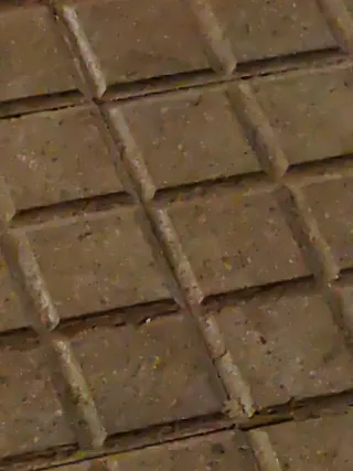 Requiero empleo, de cualquier tipo.