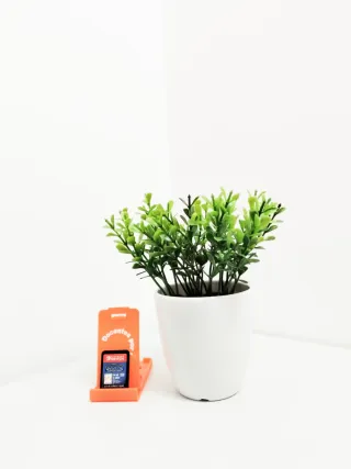 Naruto Shippuden Ultimate Ninja Storm Connections