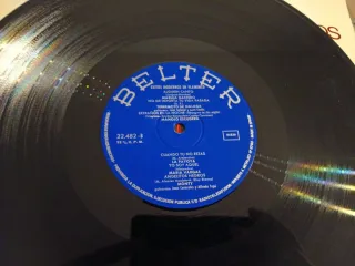 Exitos Modernos en Flamenco Vinilo LP