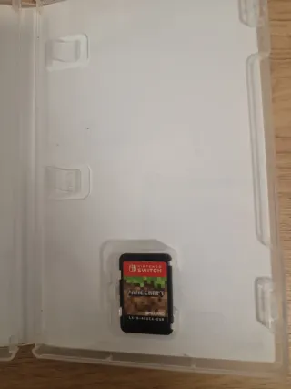 Minecraft Nintendo Switch