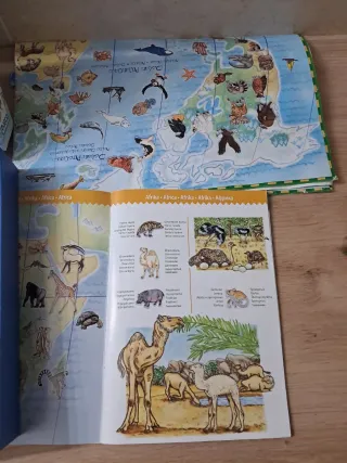 Puzzle 100 Piezas Observación Animales Djeco