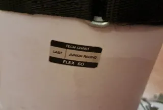 Botas de esquí Head World Cup Rebels