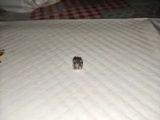 Oferta para regalar a tu pareja  3 CharmPandora