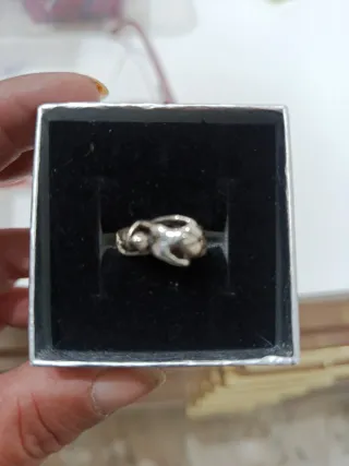 Anillo plata caballero