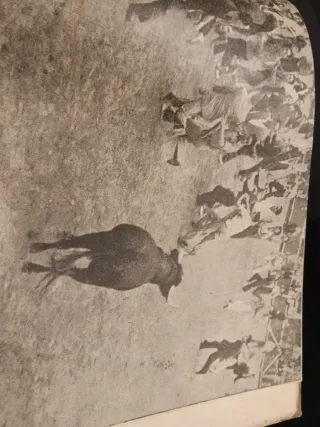 Libro Mozos y Toros 1945 Pamplona españa taurina